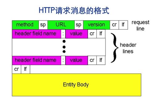 計(jì)算機(jī)網(wǎng)絡(luò)應(yīng)用與軟件簡(jiǎn)介